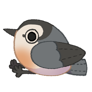 Plush Bird Sitta